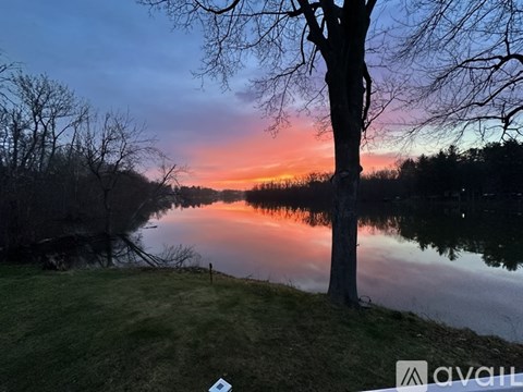 A tree stands in front of a body of water with a sunset in the background.