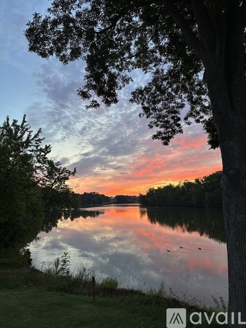 A serene lake surrounded by trees at sunset.