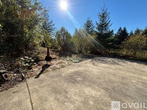 A concrete surface with a shadow of a person and trees in the background.