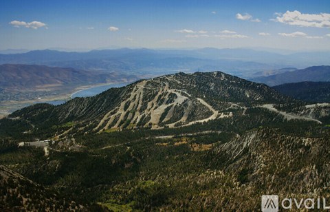 A mountain with a striped pattern of trees and rock.