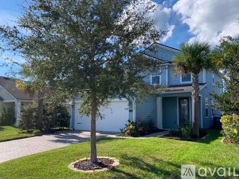 A tree in a mulched circle in front of a house.