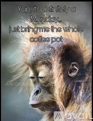A monkey with a text overlay that reads "Yup, it's definitely a Monday... just bring me the whole coffee pot".