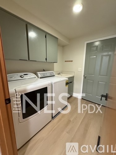 A kitchen with a dishwasher and a washing machine.