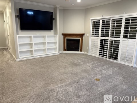 A living room with a fireplace and a television.