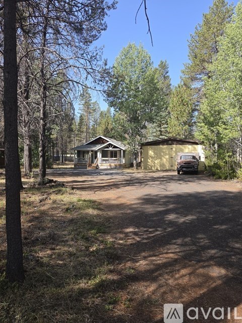 A house surrounded by trees with a car parked in front.