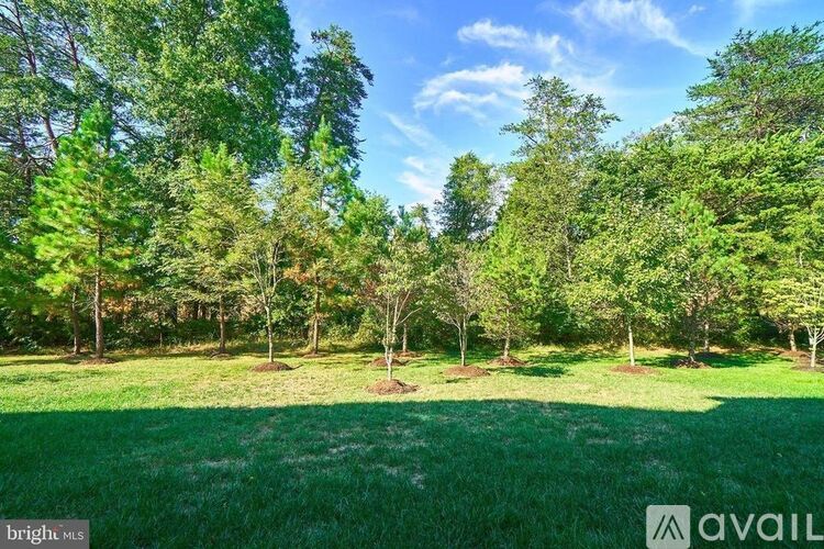 A grassy field with trees in the background and a bright blue sky.