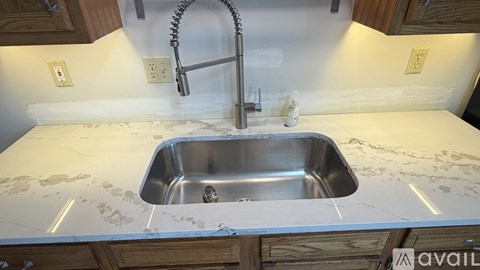 A kitchen sink with a faucet and a hose attached to it.