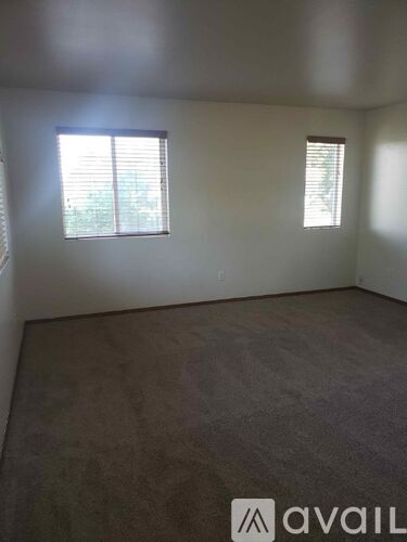 A room with two windows and a carpeted floor.