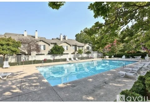A swimming pool surrounded by trees and a row of lounge chairs.