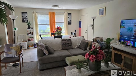 A living room with a grey couch, a television, and a potted plant.