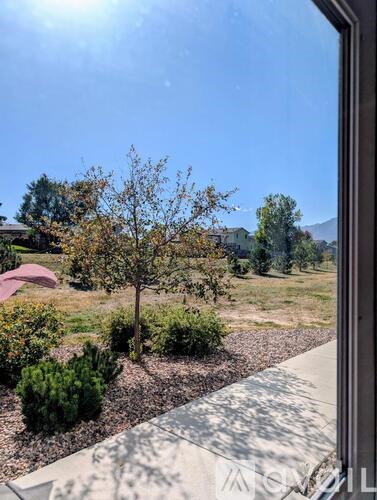 A view from a window looking out to a garden with a tree and a house in the distance.