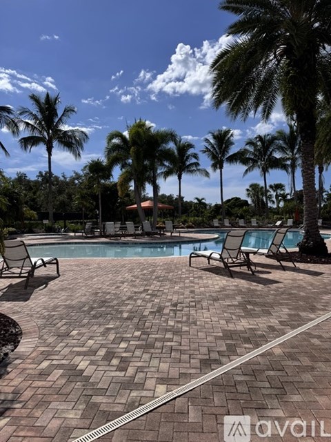 A pool surrounded by palm trees and lounge chairs.