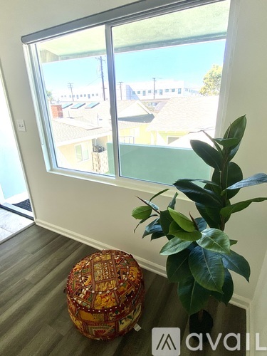 A room with a window and a potted plant.
