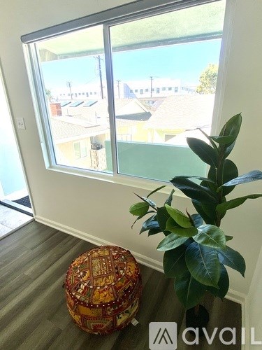 A room with a window and a potted plant.