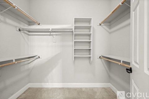 A white pantry with shelves and a carpeted floor.