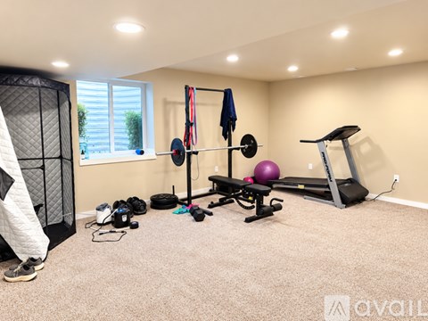 A well-equipped home gym with a treadmill, weights, and exercise balls.
