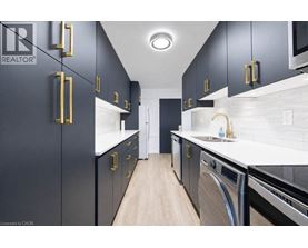 A modern kitchen with black cabinets and gold handles.