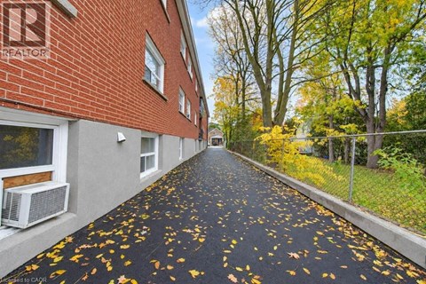 A long, narrow driveway with fallen leaves on the ground.