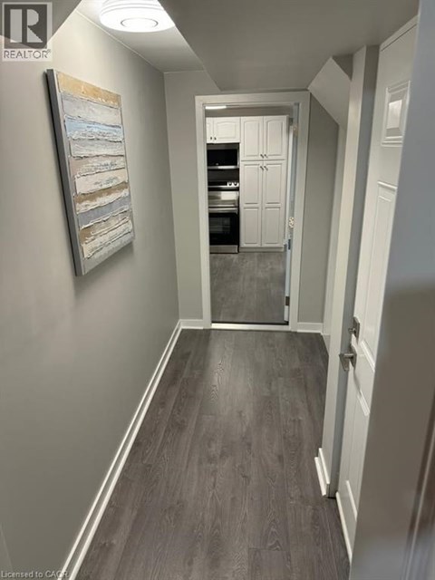 A hallway with a painting on the wall and a door at the end.