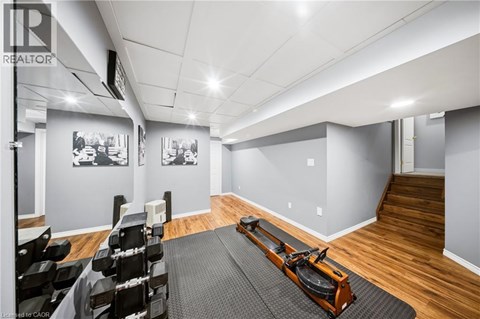 A gym with a row of black chairs and a row of black dumbbells.