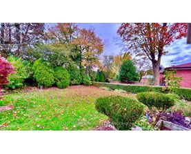 A garden with a variety of plants and trees.