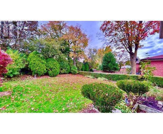 A garden with a variety of plants and trees.