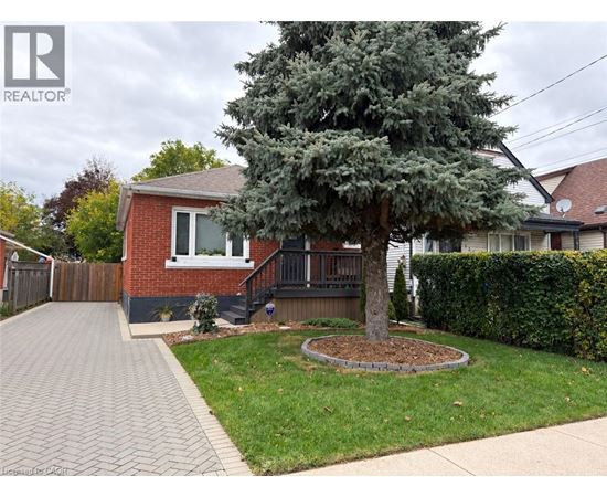A house with a tree in front of it.