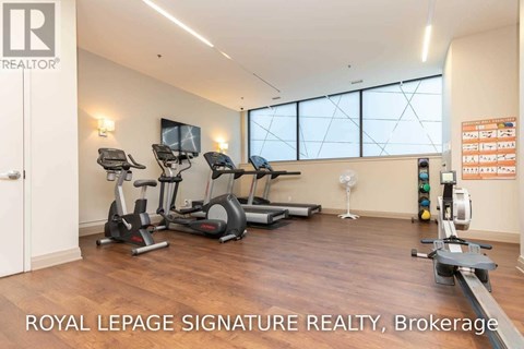 A gym room with a row of treadmills and exercise bikes.