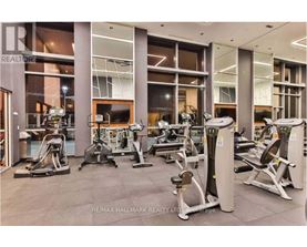A gym with a variety of equipment including treadmills, weights, and exercise machines.