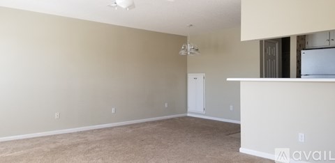 A spacious room with a carpeted floor and a white door.