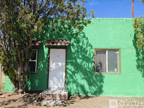 A green house with a white door and a tree in front.