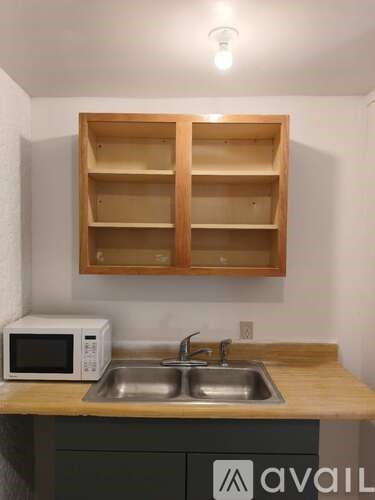 A kitchen with a sink and a microwave on the counter.