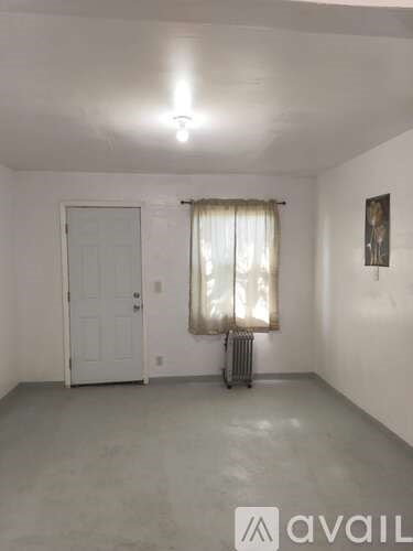 A room with a door, a window with curtains, and a radiator.
