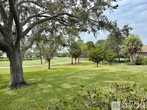 A large tree in the middle of a grassy field.