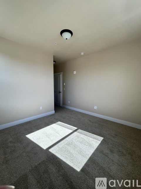 A room with a carpeted floor and a ceiling light.