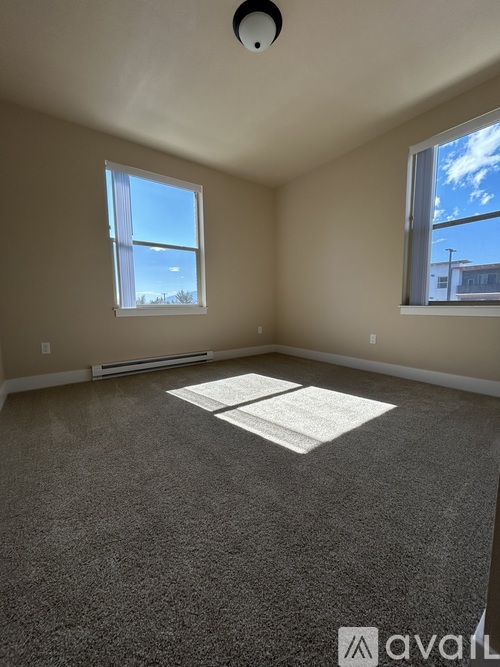 A room with a carpeted floor and two windows.