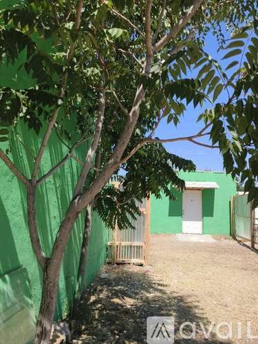 A tree is in front of a green building with a white door.