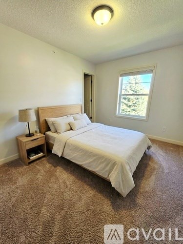 A bedroom with a bed, nightstand, and window.