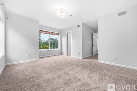 A spacious room with carpeted floor and a window overlooking greenery outside.