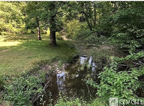 A small pond in a grassy area surrounded by trees.
