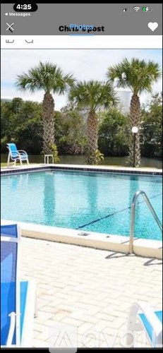 A pool surrounded by palm trees and a blue chair.