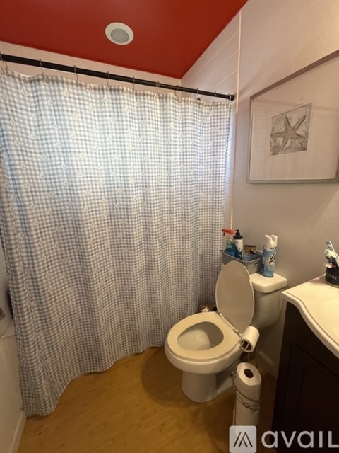 A bathroom with a toilet, a shower curtain, and a picture on the wall.