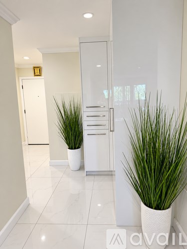 A hallway with two potted plants on either side.