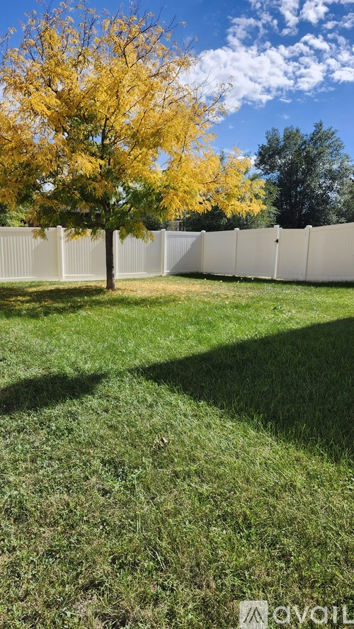 A tree with yellow leaves stands in a grassy area next to a white fence.