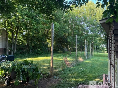 A dog is sitting in a garden with a fence and trees.
