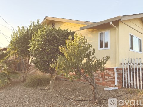 A house with a white picket fence and a tree in front.