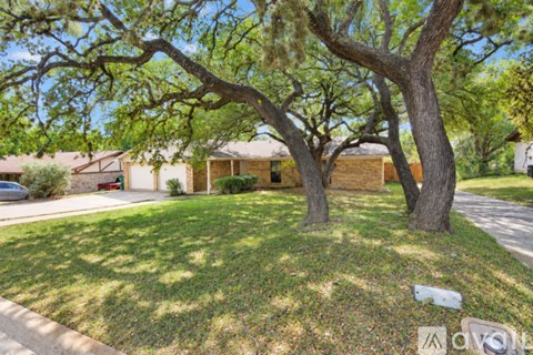 A tree with green leaves is in front of a house.