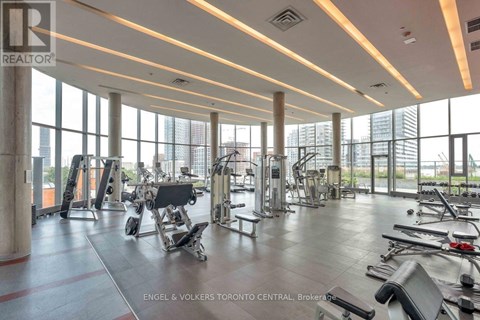 A gym with a variety of equipment is shown in the image.