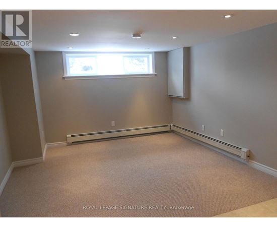A well-lit room with a window and carpeted floor.