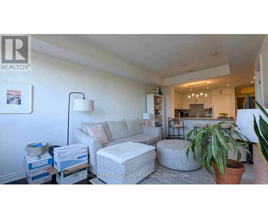 A living room with a grey sofa and a potted plant.